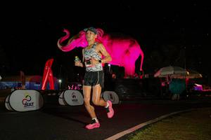 BIB: 
                            <button type="button" onclick="openModal(26543359)" class="btn btn-primary btn-sm float-right btn-popup" data-toggle="modal" data-target=".modal-high-quality">
                        <i class="fas fa-shopping-cart"></i> Add to Cart
                    </button>
                                            <button type="button" onclick="isThisMe(26543359, true)" class="btn btn-success btn-sm float-right btn-popup btn-isme hidden" data-toggle="tooltip" data-placement="bottom" title="นี่คือรูปของคุณใช่ไหม คลิกที่นี่เพื่อเอาเข้าอัลบั้ม">
                        <i class="fas fa-plus"></i> Add to album
                    </button>
                    <button type="button" onclick="isThisMe(26543359, false)" class="btn btn-warning btn-sm float-right btn-popup btn-isnotme hidden">
                        <i class="fas fa-ban"></i> Remove from album
                    </button>